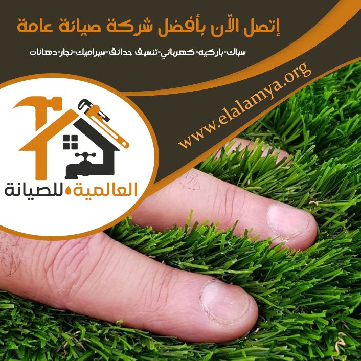 تركيب عشب في أم القيوين